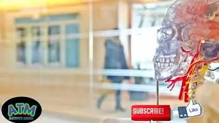 how to train your brain for success
In 1hr.