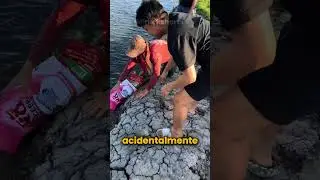 these fish really got lucky today
