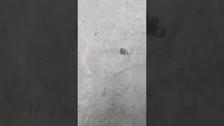 Запутался 😓