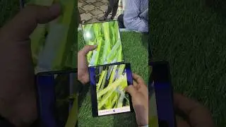 Vivo X Fold3 pro vs Samsung Galaxy Z fold 6 Zooming test 📸 🤯💚, 