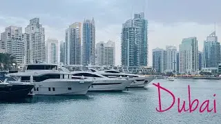 Dubai trip VLOG  /  ВЛОГ Дубай