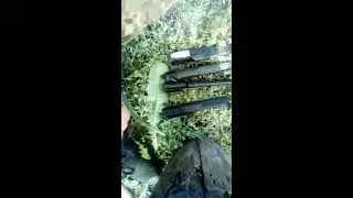 финский мишка 2.0 и разумная достаточность...