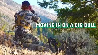 MOVING IN ON A BIG BULL | Ep. 2