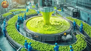 How Guacamole Sauce is Produced in Factory | The Avocado’s Journey In Factory
