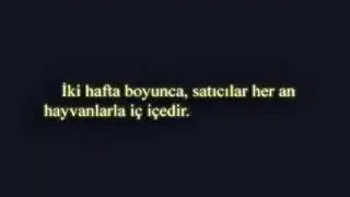 Fotoröportaj.org - Altan Bal, Canay Özden, Ali Saltan
