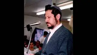 קליפ איבי