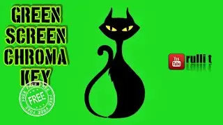 Green Screen HD - BLACK CAT, HALLOWEEN animation 🔊 sound