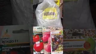 Сеем томаты🍅