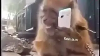 Самый смешной прикол 😂😂😂
