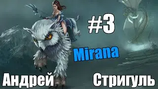 Андрей Стригуль - Faceless Void [3/4]