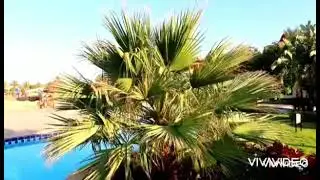 Египет. Шарм эль шейх