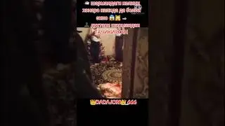 15 мая 2024 г.