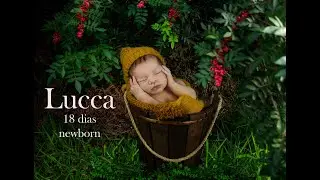 Lucca 18 dias