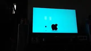 Best logos animation Fast X4