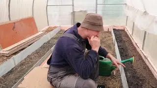 Когда и КАК выращивать крупный редис, СЕКРЕТНОЕ УДОБРЕНИЕ