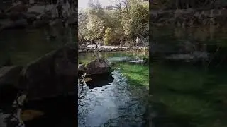 Алупка Воронцовский парк - озеро. 3 апреля 2021 г.