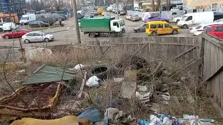 Ситуація навколо кладовища тварин на Русанівці