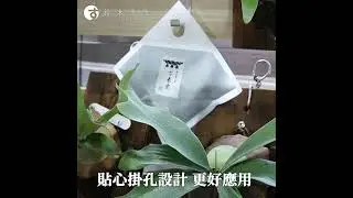 夏季除濕必備！來自日本島根縣出雲的古來炭