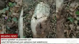 Define işaretleri ve çözümü:
