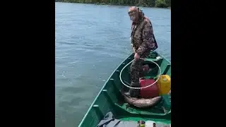 Рыбалка на Сахалине. Крупная чавыча