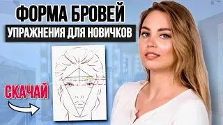 BASICS OF EYEBROW ARCHITECTURE + Face Chart 🎁 for Eyebrowists