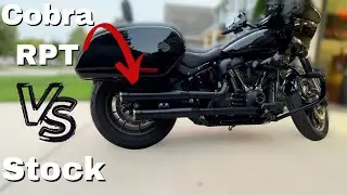 Cobra RPT 3