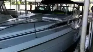 1988 sea ray 390 express cruiser 2146768507