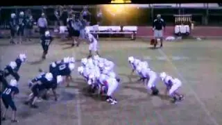 Decleated #10