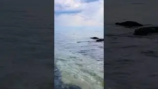 Listen, Very Nice Relaxing Sound for You to Relax #relaxation #naturesounds #nature #seasounds