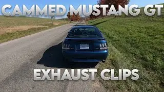 Cammed 4.6 2v Newedge Mustang GT Exhaust Clips - SLP LM1