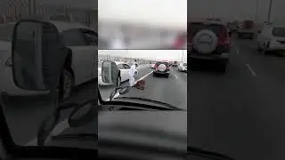 Встреча с Тигром