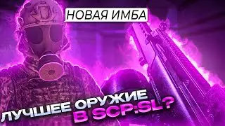 ГАЙД НА G36 SCP:SL