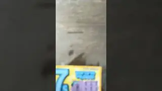 Lucky 7s BIG win for $1 game 