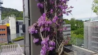 Our rooftop in Zurich is not a place, it's a feeling.