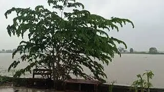 @hujan pagi semangat lagi meski air sudah meninggi #banjir #musimpenghujan