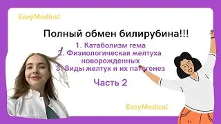 Обмен билирубина, патогенез всех типов желтух. Физиологическая желтуха новорожденных