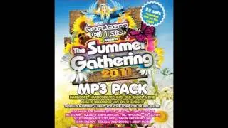 HTID 43 - The Summer Gathering - Dougal b2b Gammer ( part 3 )