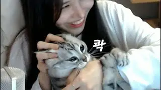이 미친 고양이가!!!!!!!!!!  (코코하이라이트)