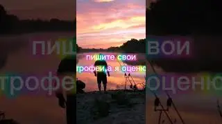 без понтов