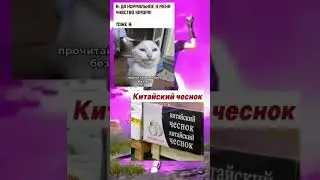 Просто #мемы