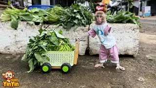 Mom understands Yinyin wants to go market buy vegetable to cook pasta soup