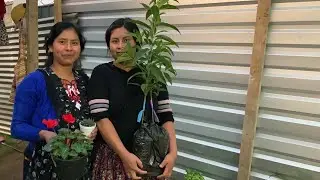 Sembrando flores 💐 de adorno 🇬🇹💐