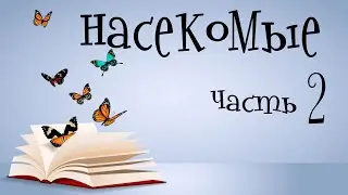 Насекомые для детей.  Учим насекомых.  Часть 2