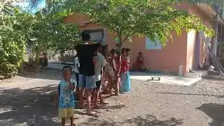 lihat sapi di halaman rumah