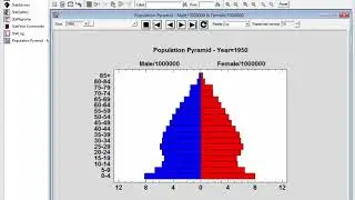 Population Pyramid Statlet