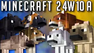 Minecraft Snapshot 24w10a : 8 Nouveaux Loups et Chiens !