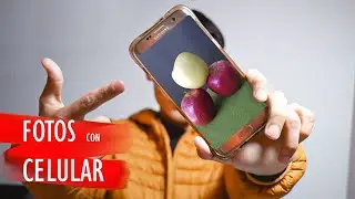 CÓMO HACER FOTOS PROFESIONALES CON TU CELULAR 📸📲 | TIPS PARA OBTENER EXCELENTES RESULTADOS