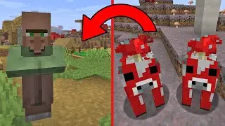 Mooshroom Biome Seed (With A Village!)