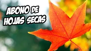 Powerful Organic Fertilizer Made from Dry Leaves 🍂 | Ivan's Garden