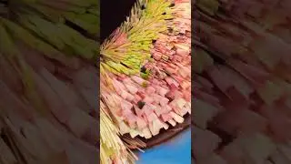 Uno de los lentes más macro que existen en el mundo #viral